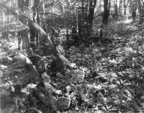 Kernstown battlefield